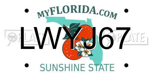 LWYJ67 Florida License Plate