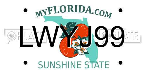 LWYJ99 Florida License Plate