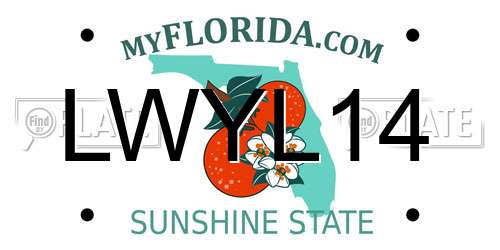 LWYL14 Florida License Plate