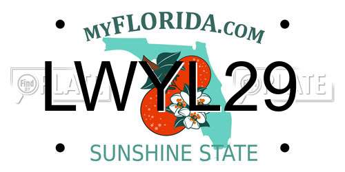 LWYL29 Florida License Plate