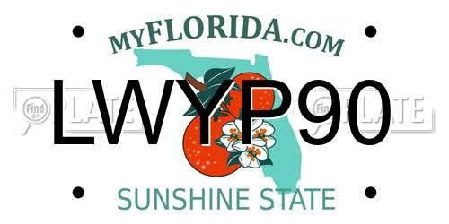 LWYP90 Florida License Plate