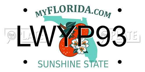 LWYP93 Florida License Plate