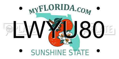 LWYU80 Florida License Plate