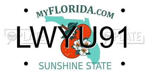 LWYU91 Florida License Plate