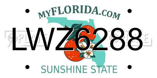 LWZ6288 Florida License Plate