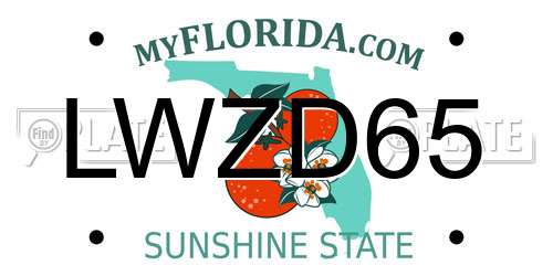 LWZD65 Florida License Plate