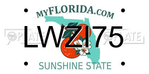 LWZI75 Florida License Plate
