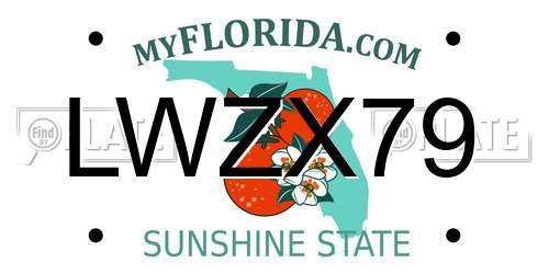 LWZX79 Florida License Plate