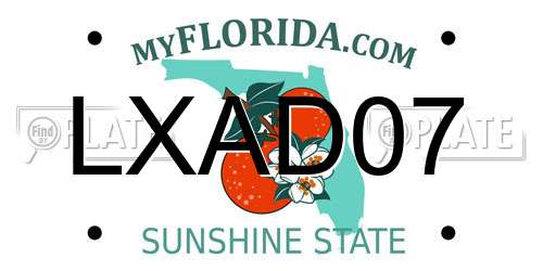 LXAD07 Florida License Plate