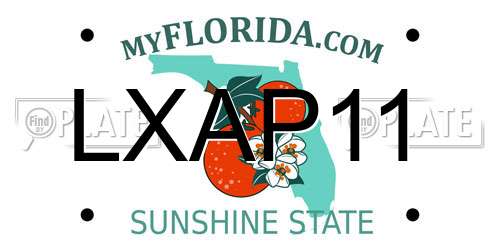 LXAP11 Florida License Plate