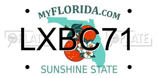 LXBC71 Florida License Plate