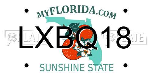 LXBQ18 Florida License Plate