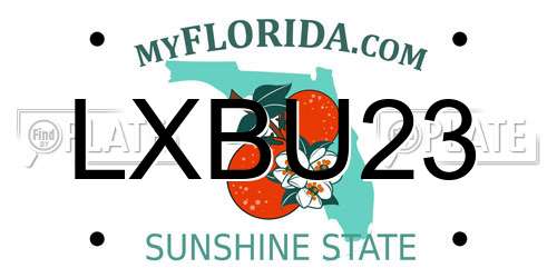 LXBU23 Florida License Plate