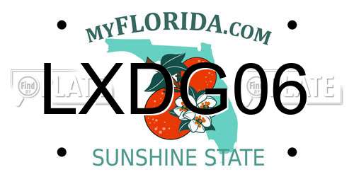 LXDG06 Florida License Plate