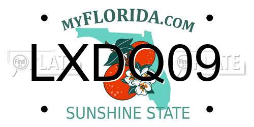 LXDQ09 Florida License Plate