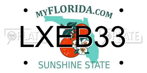 LXEB33 Florida License Plate
