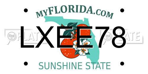 LXEE78 Florida License Plate