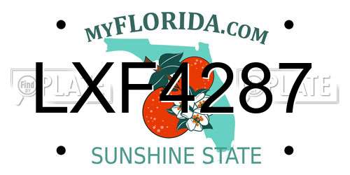 LXF4287 Florida License Plate