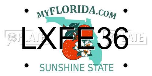 LXFE36 Florida License Plate