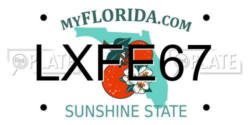 LXFE67 Florida License Plate