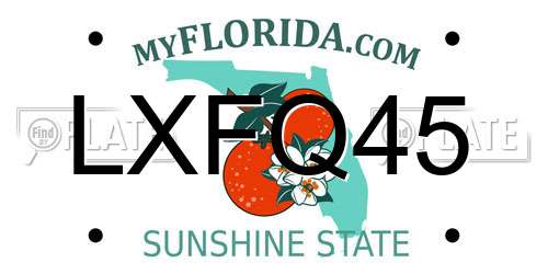LXFQ45 Florida License Plate
