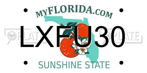 LXFU30 Florida License Plate