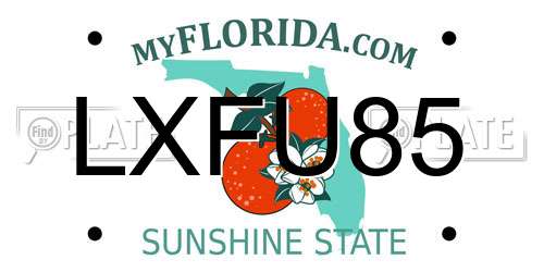 LXFU85 Florida License Plate