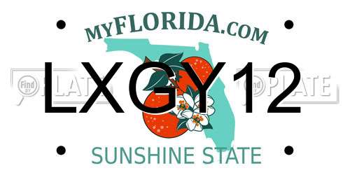 LXGY12 Florida License Plate