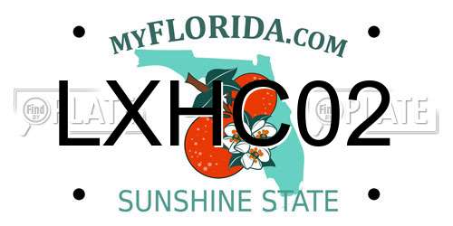 LXHC02 Florida License Plate