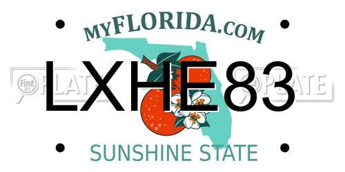 LXHE83 Florida License Plate