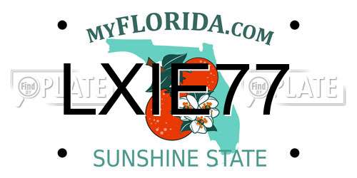 LXIE77 Florida License Plate