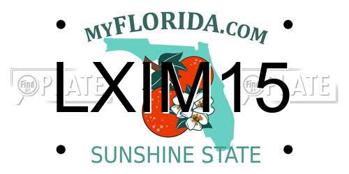 LXIM15 Florida License Plate