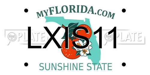LXIS11 Florida License Plate