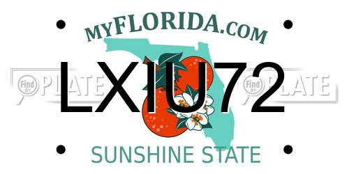 LXIU72 Florida License Plate