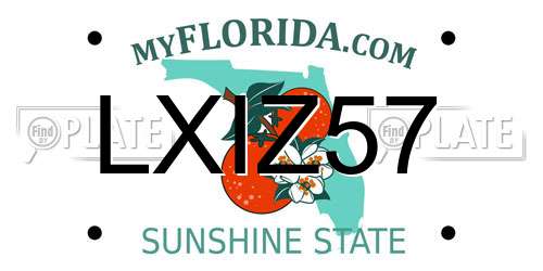 LXIZ57 Florida License Plate