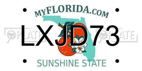 LXJD73 Florida License Plate
