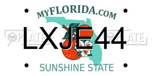 LXJE44 Florida License Plate