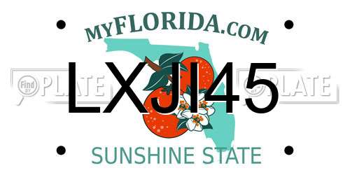 LXJI45 Florida License Plate