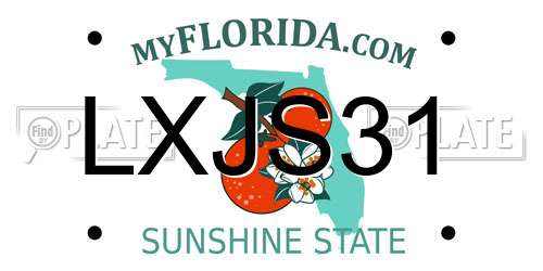 LXJS31 Florida License Plate