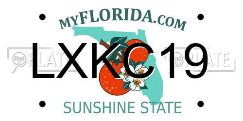 LXKC19 Florida License Plate