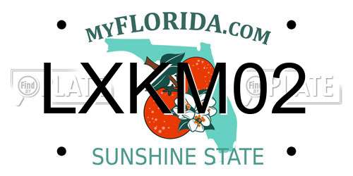 LXKM02 Florida License Plate