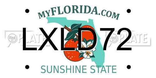 LXLD72 Florida License Plate