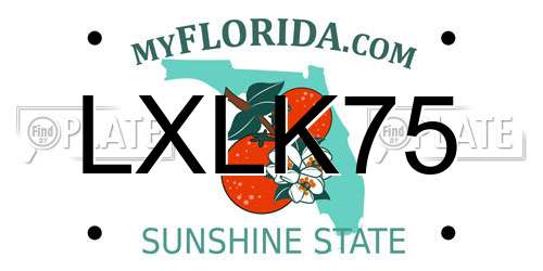 LXLK75 Florida License Plate