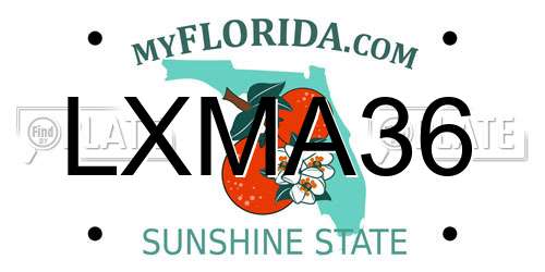 LXMA36 Florida License Plate