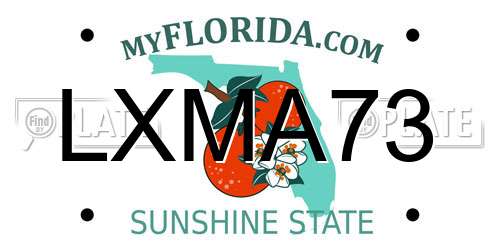 LXMA73 Florida License Plate