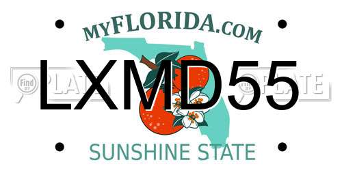 LXMD55 Florida License Plate