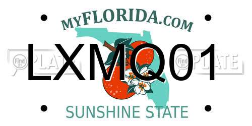 LXMQ01 Florida License Plate