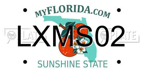 LXMS02 Florida License Plate