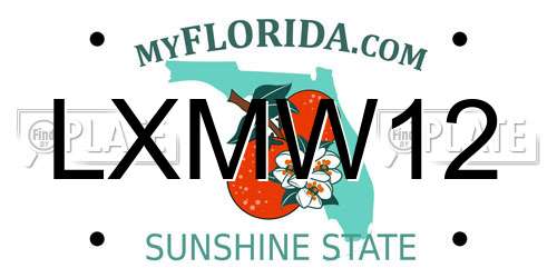 LXMW12 Florida License Plate