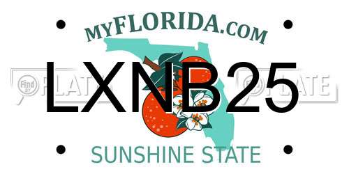 LXNB25 Florida License Plate